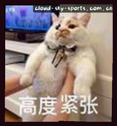 赵鹏